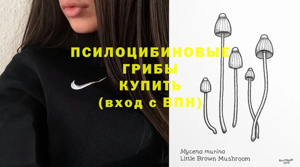 mix Алексеевка