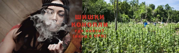 гашик Абинск