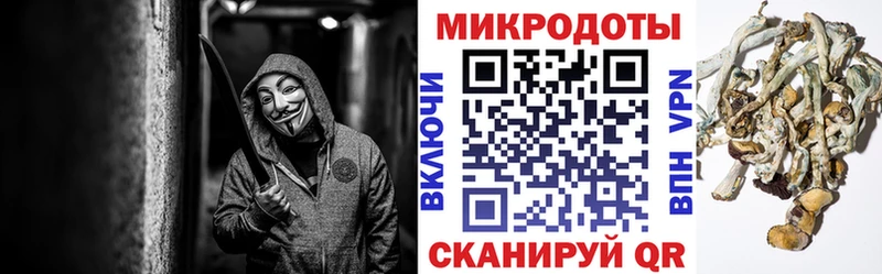 дарк нет телеграм  Микунь  Галлюциногенные грибы мицелий 